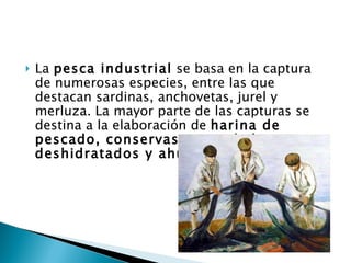 La  pesca industrial  se basa en la captura de numerosas especies, entre las que destacan sardinas, anchovetas, jurel y merluza. La mayor parte de las capturas se destina a la elaboración de  harina de pescado, conservas, congelados, deshidratados y ahumados . 