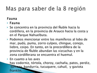 Fauna Fauna Se concentra en la provincia del Ñuble hacia la cordillera, en la provincia de Arauco hacia la costa y en el Parque Nahuelbuta. Podemos mencionar entre los mamíferos al lobo de mar, pudú, puma, zorro culpeo, chingue, conejo, liebre, coipo. En tanto, en la precordillera de la provincia de Ñuble abundan las vizcachas y en la zona cordillerana se encuentra el huemul. En cuanto a las aves hay codorniz, tórtola, choroy, cachaña, patos, perdiz, torcaza, bandurria, tucuquere, cahuil,  y gaviota franklin. 