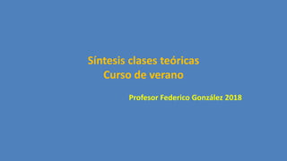 Síntesis clases teóricas
Curso de verano
Profesor Federico González 2018
 