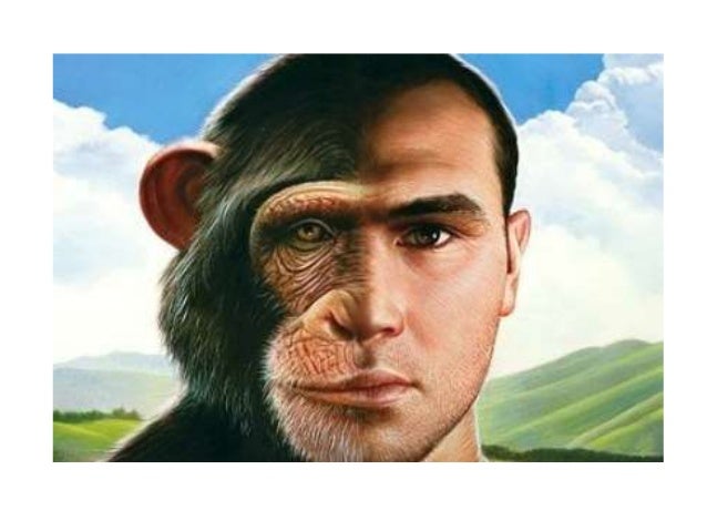 Medicina di eczema