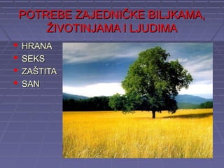 POTREBE ZAJEDNIČKE BILJKAMA,
        ŽIVOTINJAMA I LJUDIMA
   HRANA
   SEKS
   ZAŠTITA
   SAN
 