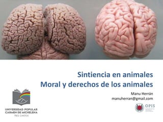 1
Manu Herrán
manuherran@gmail.com
Sintiencia en animales
Moral y derechos de los animales
 