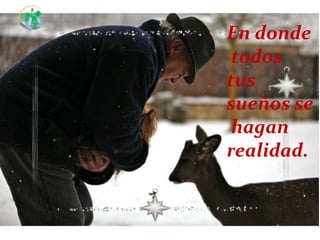 En donde
 todos
tus
sueños se
 hagan
realidad.
 