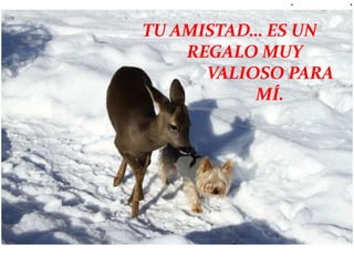 TU AMISTAD… ES UN
Tu   Amistad.
           REGALO MUY
             VALIOSO PARA
                  MÍ.
 