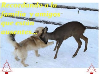 Recordando a la
familia y amigos
que están
ausentes…
 