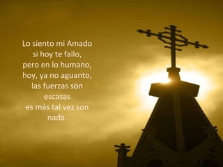 Lo siento mi Amado si hoy te fallo, pero en lo humano, hoy, ya no aguanto, las fuerzas son escasas es más tal vez son nada. 