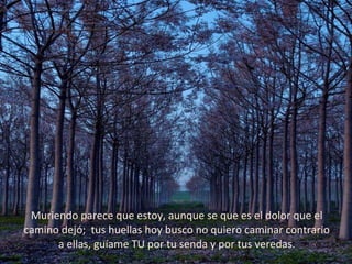 Muriendo parece que estoy, aunque se que es el dolor que el camino dejó;  tus huellas hoy busco no quiero caminar contrario a ellas, guíame TU por tu senda y por tus veredas. 