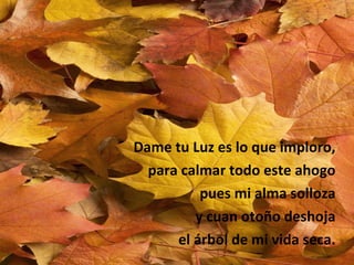 Dame tu Luz es lo que imploro Para calmar todo este ahogo Pues mi alma solloza Y cuan otoño deshoja El árbol de mi vida seca. Dame tu Luz es lo que imploro, para calmar todo este ahogo pues mi alma solloza y cuan otoño deshoja el árbol de mi vida seca. 