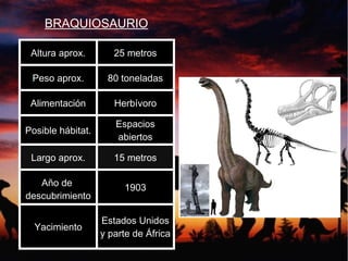 BRAQUIOSAURIO
Altura aprox. 25 metros
Peso aprox. 80 toneladas
Alimentación Herbívoro
Posible hábitat.
Espacios
abiertos
Largo aprox. 15 metros
Año de
descubrimiento
1903
Yacimiento
Estados Unidos
y parte de África
 