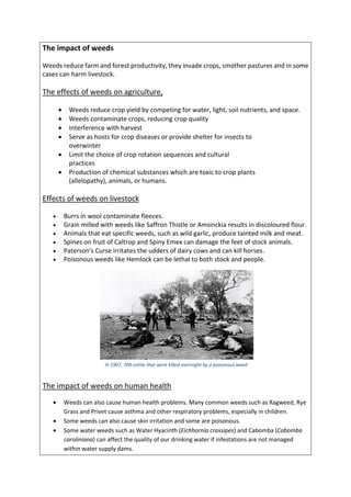 The impact of weeds
Weeds reduce farm and forest productivity, they invade crops, smother pastures and in some
cases can harm livestock.
The effects of weeds on agriculture,
 Weeds reduce crop yield by competing for water, light, soil nutrients, and space.
 Weeds contaminate crops, reducing crop quality
 Interference with harvest
 Serve as hosts for crop diseases or provide shelter for insects to
overwinter
 Limit the choice of crop rotation sequences and cultural
practices
 Production of chemical substances which are toxic to crop plants
(allelopathy), animals, or humans.
Effects of weeds on livestock
 Burrs in wool contaminate fleeces.
 Grain milled with weeds like Saffron Thistle or Amsinckia results in discoloured flour.
 Animals that eat specific weeds, such as wild garlic, produce tainted milk and meat.
 Spines on fruit of Caltrop and Spiny Emex can damage the feet of stock animals.
 Paterson's Curse irritates the udders of dairy cows and can kill horses.
 Poisonous weeds like Hemlock can be lethal to both stock and people.
The impact of weeds on human health
 Weeds can also cause human health problems. Many common weeds such as Ragweed, Rye
Grass and Privet cause asthma and other respiratory problems, especially in children.
 Some weeds can also cause skin irritation and some are poisonous.
 Some water weeds such as Water Hyacinth (Eichhornia crassipes) and Cabomba (Cabomba
caroliniana) can affect the quality of our drinking water if infestations are not managed
within water supply dams.
In 1907, 700 cattle that were killed overnight by a poisonous weed
 