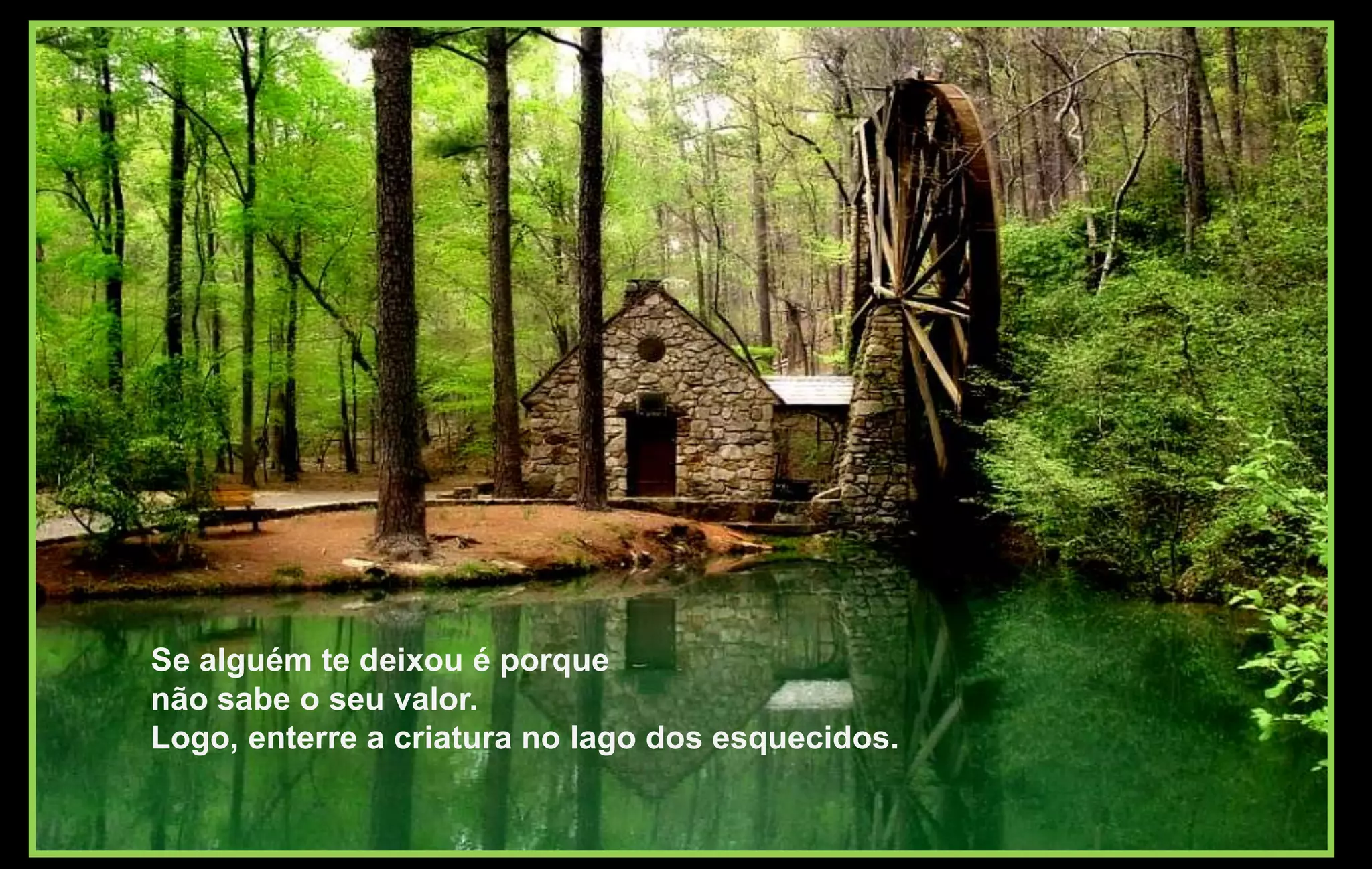 Se alguém te deixou é porque
não sabe o seu valor.
Logo, enterre a criatura no lago dos esquecidos.
 