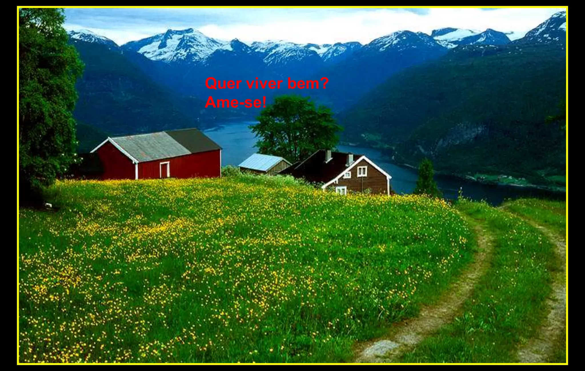 Quer viver bem?
Ame-se!
 