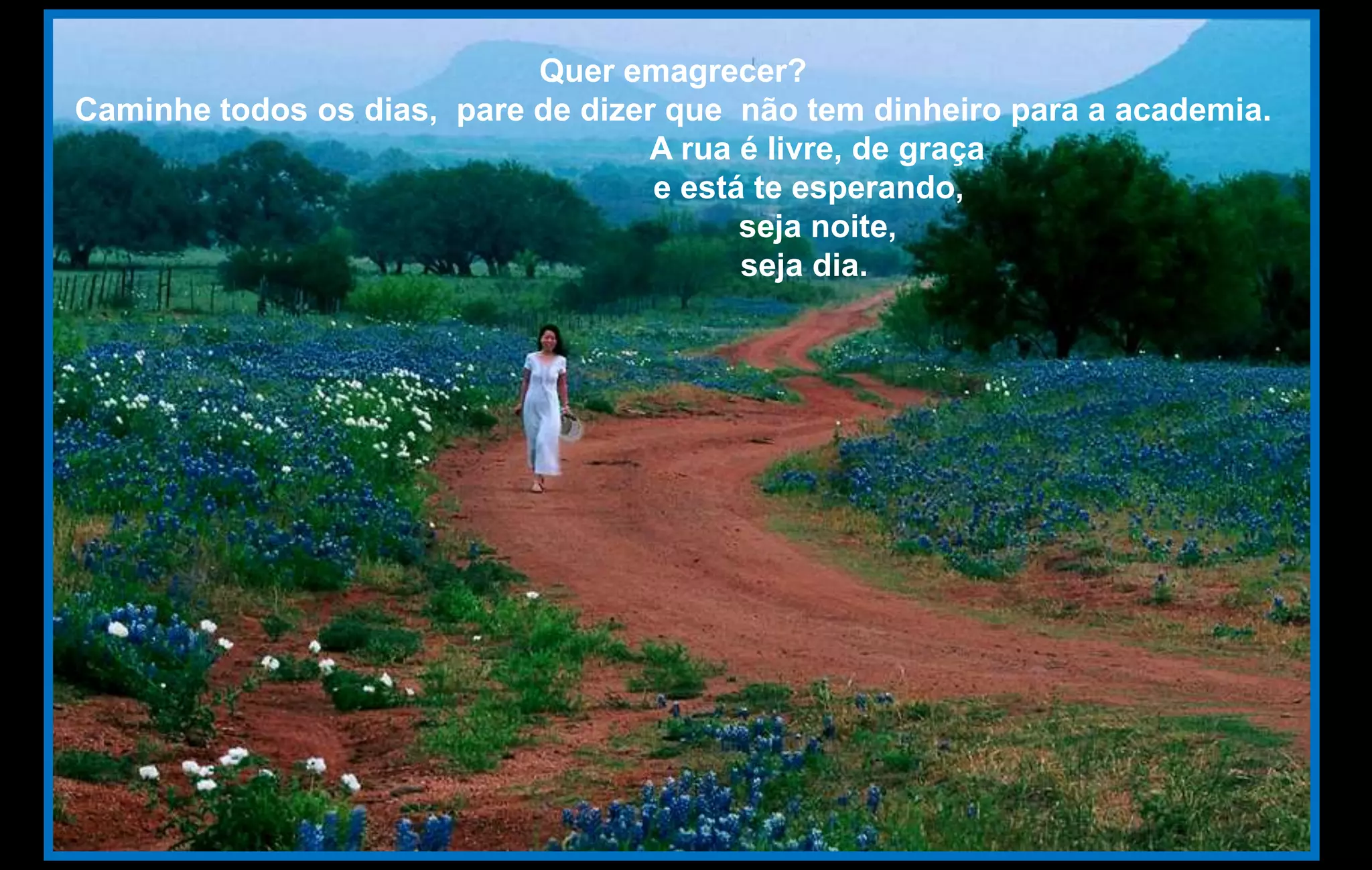 Quer emagrecer?
Caminhe todos os dias, pare de dizer que não tem dinheiro para a academia.
                                    A rua é livre, de graça
                                    e está te esperando,
                                          seja noite,
                                          seja dia.
 