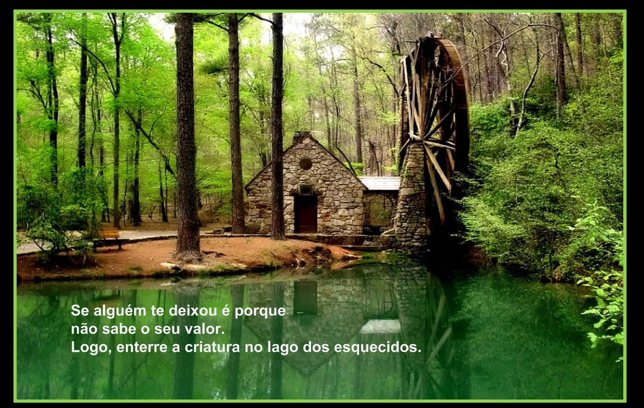 Se alguém te deixou é porque
não sabe o seu valor.
Logo, enterre a criatura no lago dos esquecidos.
 