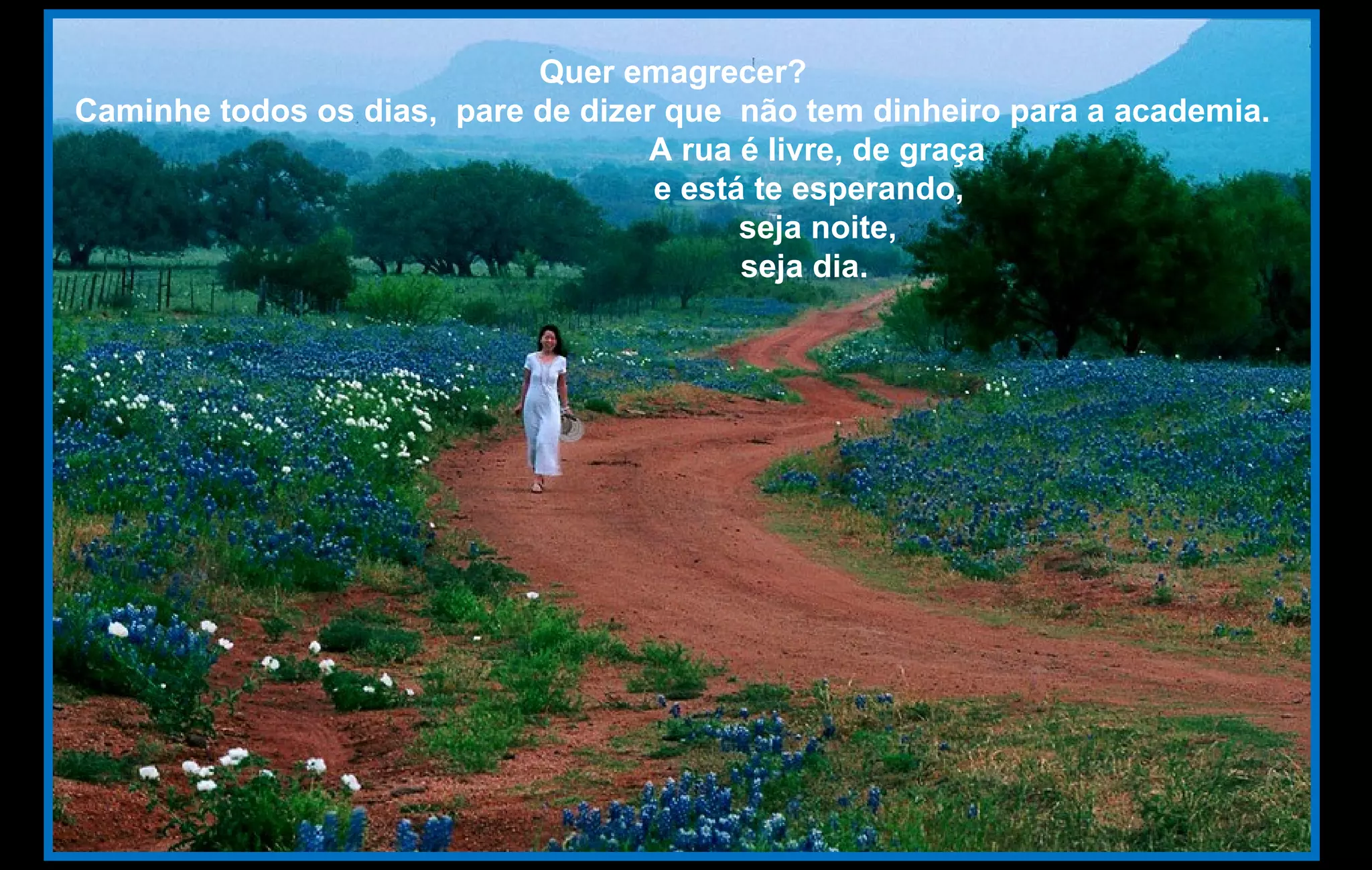 Quer emagrecer?
Caminhe todos os dias, pare de dizer que não tem dinheiro para a academia.
A rua é livre, de graça
e está te esperando,
seja noite,
seja dia.
 