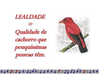 LEALDADE  =  Qualidade de cachorro que pouquíssimas pessoas têm. 