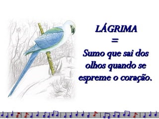 LÁGRIMA  =  Sumo que sai dos olhos quando se espreme o coração. 