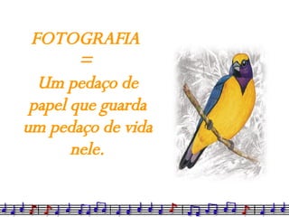 FOTOGRAFIA  =  Um pedaço de papel que guarda um pedaço de vida nele. 