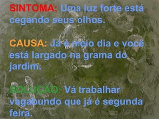 SINTOMA: Uma luz forte está
cegando seus olhos.
CAUSA: Já é meio dia e você
está largado na grama do
jardim.
SOLUÇÃO: Vá trabalhar
vagabundo que já é segunda
feira.
 