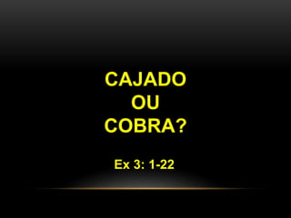 CAJADO
OU
COBRA?
Ex 3: 1-22
 