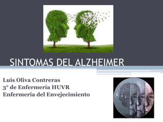 SINTOMAS DEL ALZHEIMER
Luis Oliva Contreras
3° de Enfermería HUVR
Enfermería del Envejecimiento

 