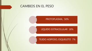CAMBIOS EN EL PESO
PROTOPLASMA, 50%
LIQUIDO EXTRACELULAR 18%
TEJIDO ADIPOSO, ESQUELETO 7%
 