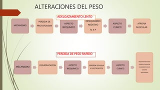 ALTERACIONES DEL PESO
MECANISMO
PERDIDA DE
PROTOPLASMA
ASPECTO
BIOQUIMICO
DESEQUILIBRIO
NEGATIVO
N, K P
ASPECTO
CLINICO
ATROFIA
MUSCULAR
ADELGAZAMIENTO LENTO
MECANISMO
DESHIDRATACION ASPECTO
BIOQUIMICO
PERDIDA DE AGUA
Y ELECTROLITOS
ASPECTO
CLINICO
SEQUEDAD/MUCOSAS
PERDIDA/TURGENCIA
HUNDIMIENTO/OJOS
OLIGURIA
HIPOTENSION
PERDIDA DE PESO RAPIDO
 
