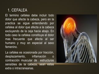 1. CEFALEA
El termino cefalea debe incluir todo
dolor que afecte la cabeza, pero en la
practica se sigue entendiendo por
cefalea al dolor que afecta a la cabeza
excluyendo de la ceja hacia abajo. En
todo caso la cefalea constituye el dolor
mas frecuente que afecta al ser
humano y muy en especial al sexo
femenino.
La cefalea es ocasionada por tracción,
desplazamiento, inflamación o
contracción muscular de estructuras
sensibles de la cabeza, sean estas
extra o intracraneanas.
 