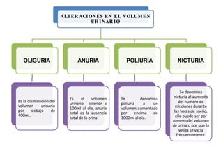 ALTER ACIONES EN EL VOLUMEN
UR INAR IO
OLIGURIA
Es la disminución del
volumen urinario
por debajo de
400ml.
ANURIA
Es el volumen
urinario inferior a
100ml al día, anuria
total es la ausencia
total de la orina
POLIURIA
Se denomina
poliuria a un
volumen aumentado
por encima de
3000ml al día.
NICTURIA
Se denomina
nicturia al aumento
del numero de
micciones durante
las horas de sueño,
ello puede ser por
aumento del volumen
de orina o por que la
vejiga se vacía
frecuentemente.
 