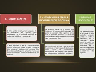 1.- DOLOR GENITAL
El dolor genital tiene lugar en cualquiera de
las estructuras del aparato, pero
basicamento, en la glandula testicular, el
cordon o el epididímo y por diversas
El dolor testicular se deb e a un traumatismo,
proceso inflatorio o tumor. en todo caso es un
dolor constante y puede ser muy intenso, el dolor
de torcion testicular por lo general es intenso y la
principal causa de d edolor del epidídimo es por
infeccion.
2.- SECRECION URETRAL E
INCONTINENCIA DE ORINA
La secrecion uretral, Es el sintoma mas
frecuente de consulta de la patologia del
pene, la secrecion debe explorarse antes
que el paciente miccione. La secreción
uretral de debe a un ainfeccion gonocócica
, por trichonomas, clam
La incontinencia urinaria , es la perdida
involuntaria de la orina, puede distinguirse
varios tipos de incontinencia:
incontinencia por esfuerzo, por urgencia,
por rebosamiento, fisiologica o verdadera.
SINTOMAS
UROGENITALES
con mayor frecuencia
se presenta el dolor
testicular, sensacion
uretral de ardor o
trastornos de la
capacidad sexual
como ereccion de
mala calidad, perdida
prematura de la
ereccion, eyaculacion
precoz, perdidad de
la eyaculacion o del
orgasmo.
 