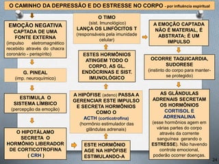 O CAMINHO DA DEPRESSÃO E DO ESTRESSE NO CORPO - por influência espiritual
EMOÇÃO NEGATIVA
CAPTADA DE UMA
FONTE EXTERNA
(impulso eletromagnético
recebido através do chacra
coronário - perispírito) ESTES HORMÔNIOS
ATINGEM TODO O
CORPO, AS GL.
ENDÓCRINAS E SIST.
IMUNOLÓGICO
O HIPOTÁLAMO
SECRETA O
HORMÔNIO LIBERADOR
DE CORTICOTROFINA
( CRH )
ESTE HORMÔNIO
AGE NA HIPÓFISE
ESTIMULANDO-A
AS GLÂNDULAS
ADRENAIS SECRETAM
OS HORMÔNIOS
CORTISOL E
ADRENALINA
(esse hormônios agem em
várias partes do corpo
através da corrente
sanguínea gerando o
ESTRESSE). Não havendo
controle emocional,
poderão ocorrer doenças.
G. PINEAL
(imp. neuroquímico)
24
A HIPÓFISE (adeno) PASSA A
GERENCIAR ESTE IMPULSO
E SECRETA HORMÔNIOS
COMO O
ACTH (corticotrofina)
(hormônio estimulador das
glândulas adrenais)
ESTIMULA O
SISTEMA LÍMBICO
(percepção da emoção)
O TIMO
(sist. Imunológico)
LANÇA OS LINFÓCITOS T
(responsáveis pela imunidade
celular)
A EMOÇÃO CAPTADA
NÃO É MATERIAL, É
ABSTRATA; É UM
IMPULSO
OCORRE TAQUICARDIA,
SUDORESE
(instinto do corpo para manter-
se protegido)
 