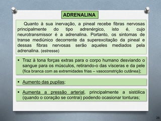 ADRENALINA
Quanto à sua inervação, a pineal recebe fibras nervosas
principalmente do tipo adrenérgico, isto é, cujo
neurotransmissor é a adrenalina. Portanto, os sintomas de
transe mediúnico decorrente da superexcitação da pineal e
dessas fibras nervosas serão aqueles mediados pela
adrenalina. (estresse)
 Traz à tona forças extras para o corpo humano desviando o
sangue para os músculos, retirando-o das vísceras e da pele
(fica branca com as extremidades frias – vasoconstrição cutânea);
 Aumenta a pressão arterial, principalmente a sistólica
(quando o coração se contrai) podendo ocasionar tonturas;
 Aumento das pupilas;
26
 