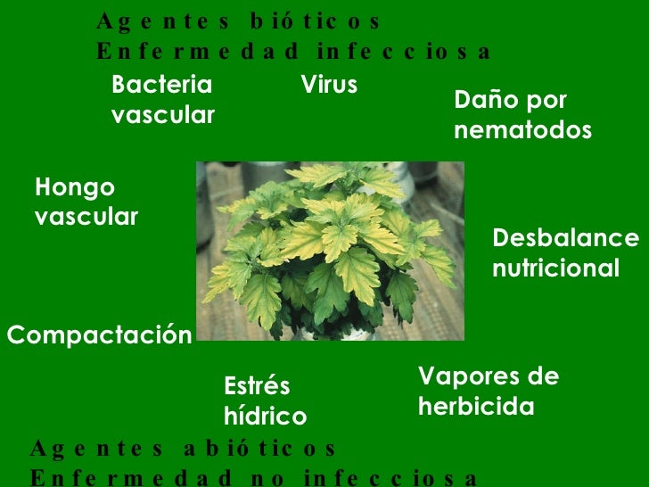 Sintomas y signos 2010 (97 2003) Sintomas y signos 2010 (97 2003)