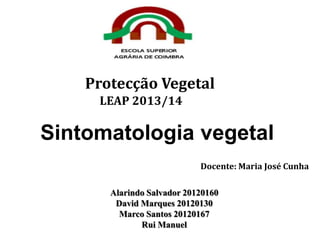 Protecção Vegetal
LEAP 2013/14

Sintomatologia vegetal
Docente: Maria José Cunha
Alarindo Salvador 20120160
David Marques 20120130
Marco Santos 20120167
Rui Manuel

 