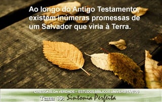 Estudo bíblico universitário - Tema 10