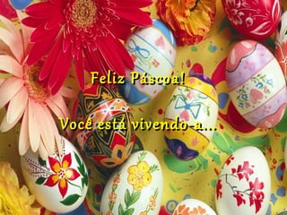 Feliz Páscoa!

Você está vivendo-a...
 