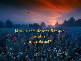 Já viu o som de uma flor que
            se abre
         a luz do sol?
 
