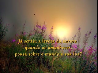 Já sentiu a leveza da aurora
    quando ao amanhecer,
pousa sobre o mundo a sua luz?
 