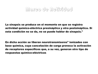 Marco de Actividad La sinapsis se produce en el momento en que se registra actividad químico-eléctrica presináptica y otra postsináptica. Si esta condición no se da, no se puede hablar de sinapsis." En dicha acción se liberan neurotransmisores" ionizados con base química, cuya cancelación de carga provoca la activación de receptores específicos que, a su vez, generan otro tipo de respuestas químico-eléctricas . 