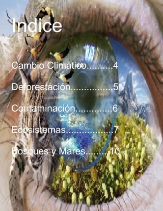 Indice
Cambio Climático..........4

Deforestación................5

Contaminación..............6

Ecosistemas..................7

Bosques y Mares.........10
 