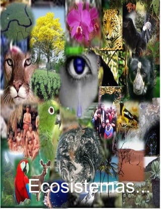 Ecosistemas...
 