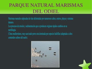PARQUE NATURAL MARISMAS DEL ODIEL 