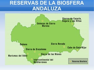 RESERVAS DE LA BIOSFERA ANDALUZA 