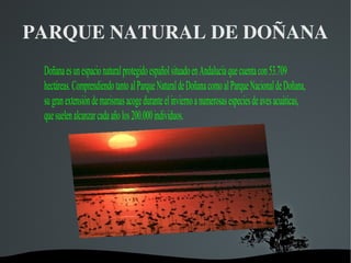 PARQUE NATURAL DE DOÑANA 