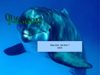 question  Was first  did first ? were 