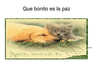 Que bonito es la paz <img style="padding-right: 8px; padding-top: 8px; padding-bottom: 8px;" src="http://www.venezuelaunoasis.com/ella_el/imagenes_ellael/paz5.jpg" id="il_fi" height="248" width="281"> 