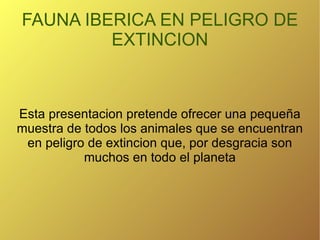 FAUNA IBERICA EN PELIGRO DE EXTINCION Esta presentacion pretende ofrecer una pequeña muestra de todos los animales que se encuentran en peligro de extincion que, por desgracia son muchos en todo el planeta 