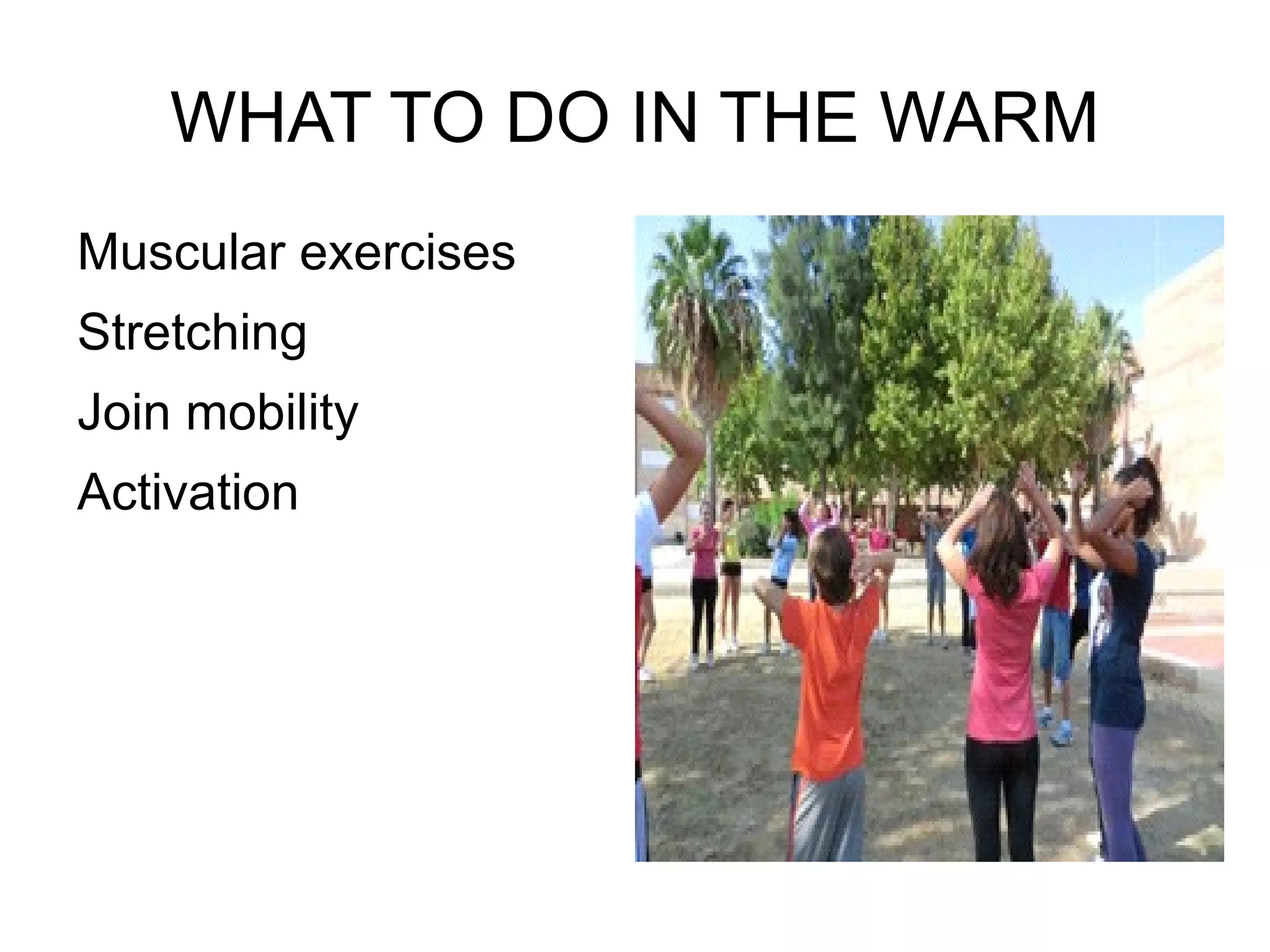 WHAT TO DO IN THE WARM Muscular exercises