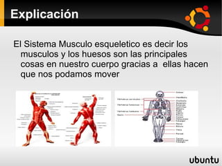Explicación El Sistema Musculo esqueletico es decir los musculos y los huesos son las principales cosas en nuestro cuerpo gracias a ellas hacen que nos podamos mover
