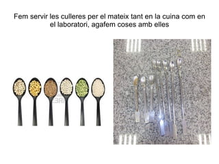 Fem servir les culleres per el mateix tant en la cuina com en el laboratori, agafem coses amb elles 